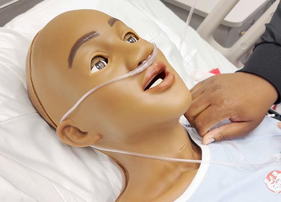 Simulator Manikins for Nursing Programs